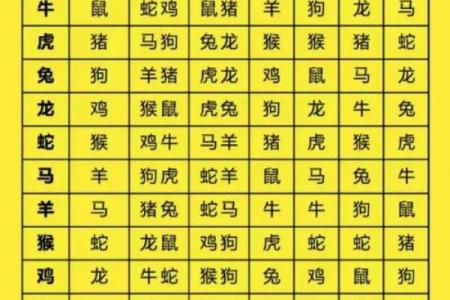 二字组合中五定是指什么生肖 二字组合中五定生肖查询方法