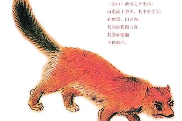 白云苍狗指的是什么生肖，有什么寓意和象征