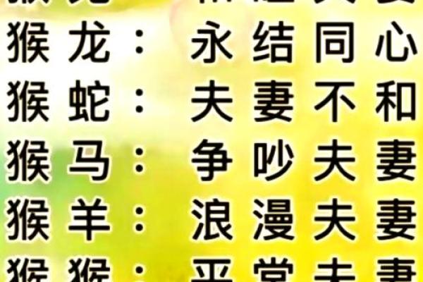 半斤八两对应的生肖性格特点和配对建议