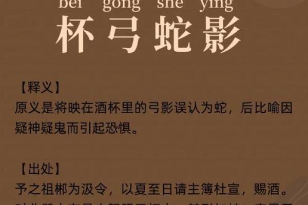杯中之物什么生肖  词语释义解释落实