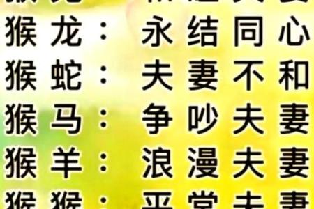 半斤八两对应的生肖性格特点和配对建议