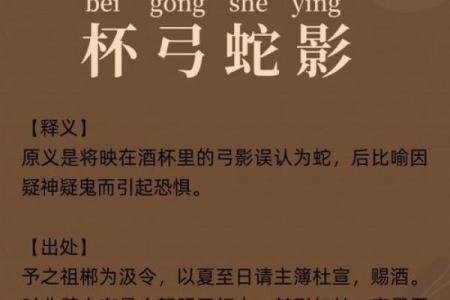 杯中之物什么生肖  词语释义解释落实