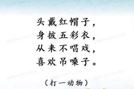 隔墙有耳打一动物是什么生肖谜底