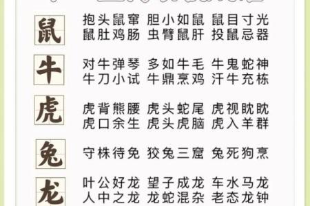 采花大盗是指什么生肖  词语释义解释落实