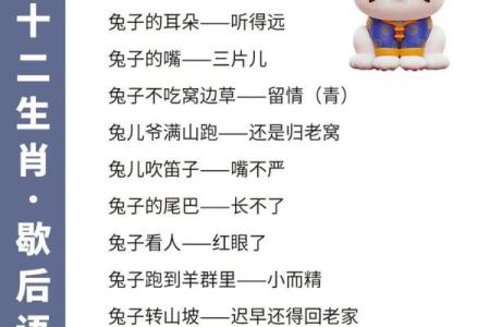 白日做梦打一个生肖  词语释义解释落实