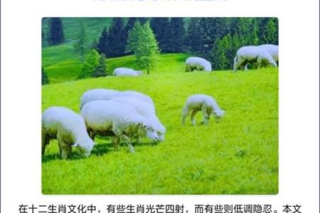 沧海桑田在十二生肖中象征什么动物