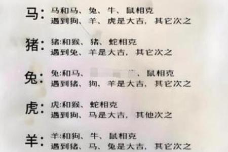 隔宿之仇在十二生肖中代表什么动物，如何化解这种恩怨