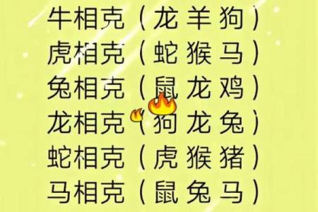 恭恭敬敬成一对的生肖配对解析及文化寓意
