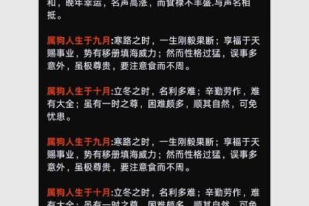 2026年属狗最新运势分析，全年吉凶早知道
