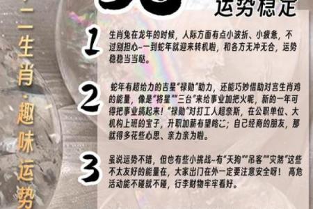 属兔2026年7-12月最新运势财运分析