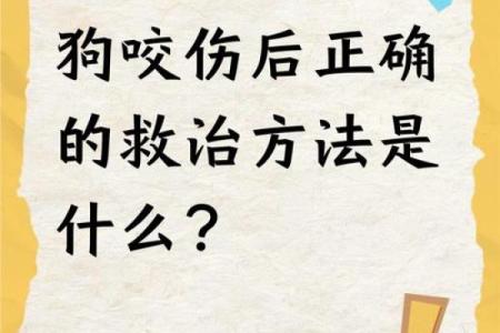 狗咬了是不是运气不好 被狗咬预示什么风水