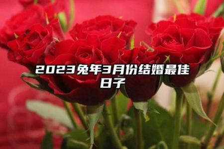 2026年7月伐木做梁吉日，2026年7月份伐木做梁吉日