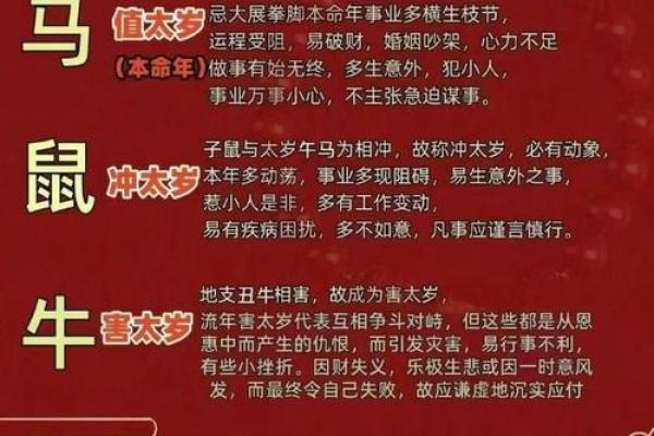 2026年属龙本命年需要注意什么？事业财运健康感情全面解析