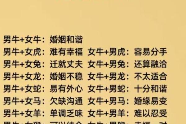 女属牛男属虎的婚姻配对是否真的能旺夫运？