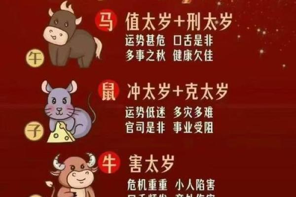 2026年属兔的人犯太岁需要注意哪些具体事项和禁忌？