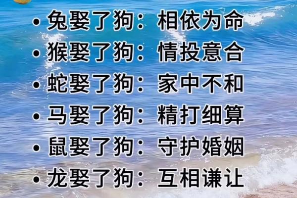 妻妾成群是什么生肖 妻妾成群打一生肖动物