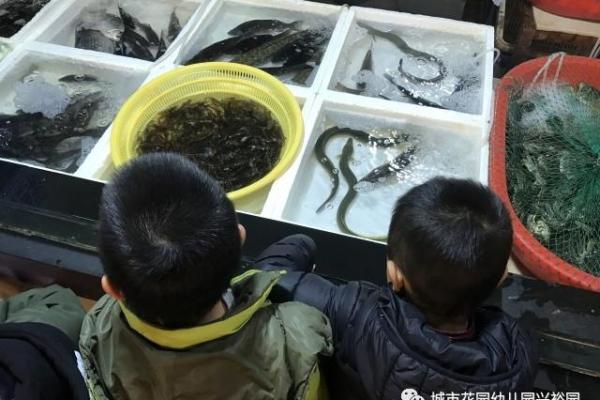 小身隐在三当家指什么动物 小身隐在三当家动物含义解析