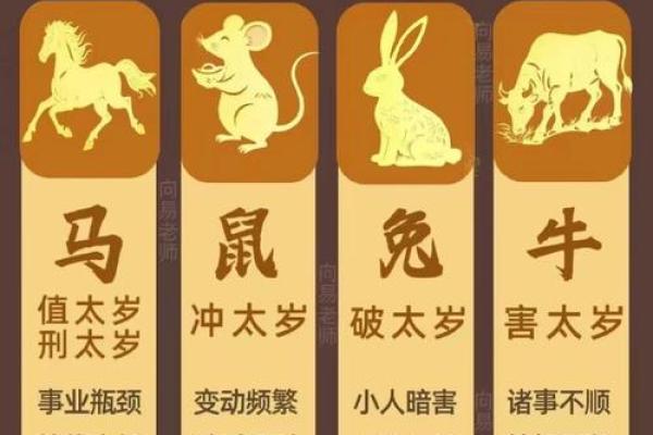 属鼠的人2026年具体年龄是多少岁怎么计算
