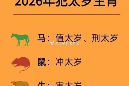 2026年属兔的人今年多少岁了，具体年龄怎么计算？