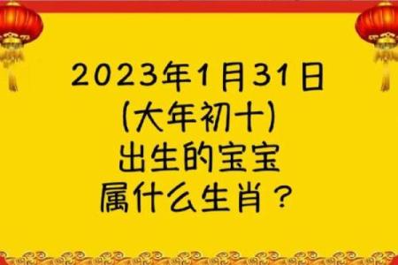 大街小巷是什么生肖 大街小巷打一生肖答案