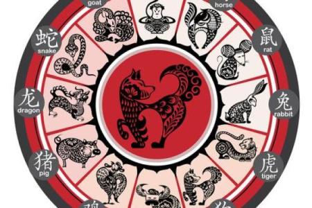 “黑咕隆咚”打一准确生肖 黑咕隆咚谜底生肖是什么