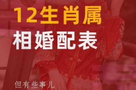 从生肖配对角度分析，属龙和属马的人合作事业或恋爱婚姻是否合适？