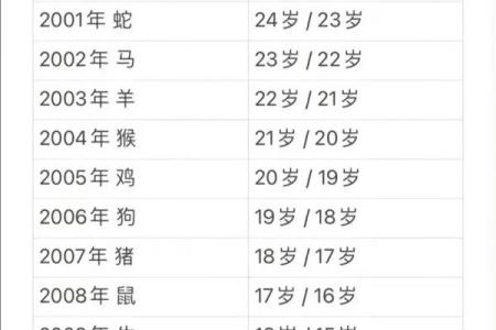 属马的人2023年具体年龄对照表，不同年份出生详解