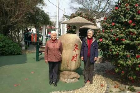 乡土难离是指什么生肖 乡土难离代表哪个生肖