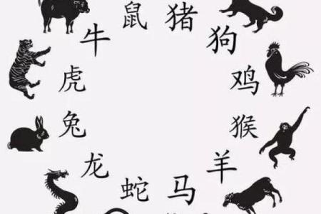 一牛九锁是什么生肖 一牛九锁生肖含义解析