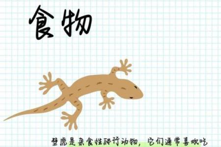 小身隐在三当家指什么动物 小身隐在三当家动物含义解析