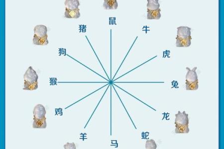 “通观全局”打一准确动物生肖 通观全局指什么生肖动物