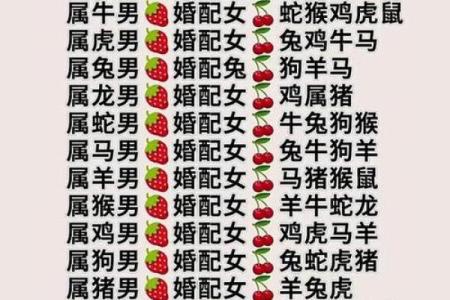 女大当嫁打最准确生肖 女大当嫁最佳婚配生肖查询